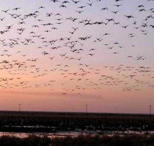 oakhammockmarsh