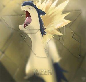 RizeN