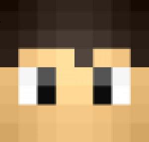 RpMinecrafter