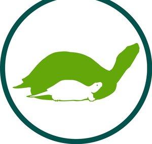 theTurtleRoom