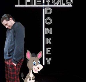 TheYoloDonkey