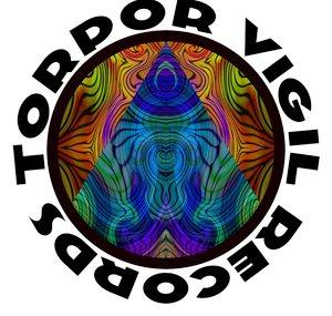 Torpor Vigil