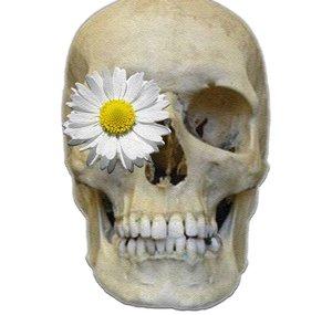 Uneasiest Daisy
