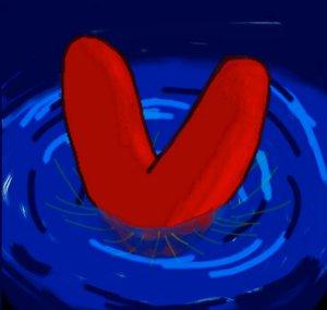 Vortex Warp