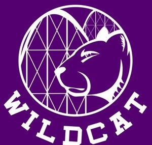 Wildcat Coasters
