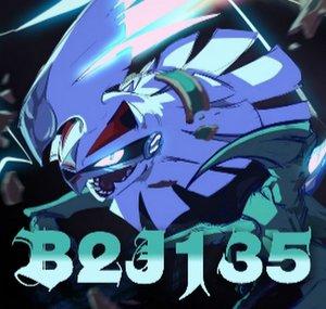 b2j135