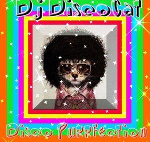 DJDiscoCat