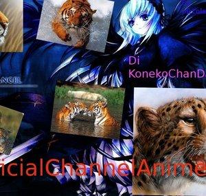 OfficialChannelAnima