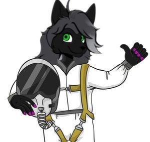 Riley BlackFox