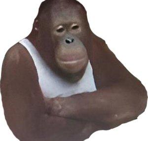 TainhaTube