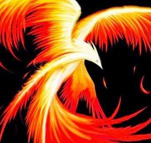 The Silent Phoenix