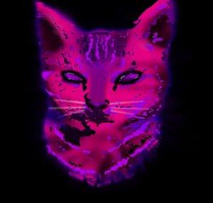 x_xCATx_x