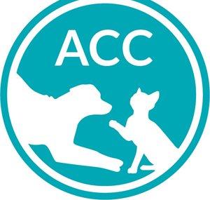 ACC NYC