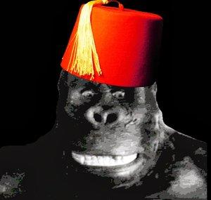 citizenkong