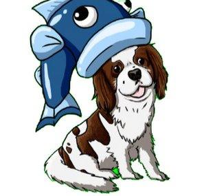 COD8MYdog