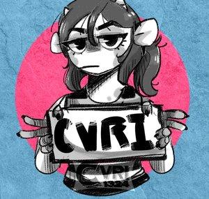 CVRI1324