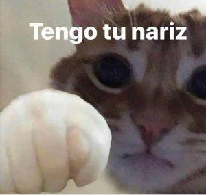 Eddy Campos