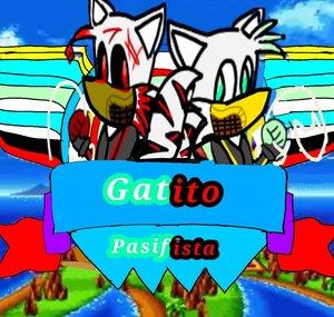 Gatito P
