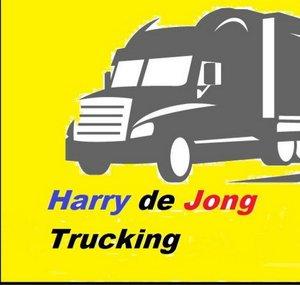 Harry de Jong 