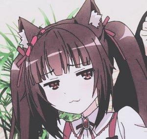 Huydofumi