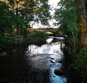 Old Mill Smallholding