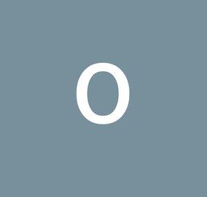 overlaerer1