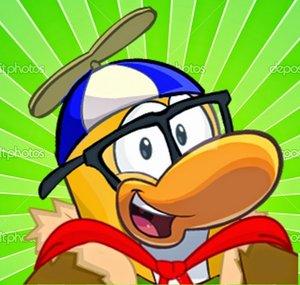 Pinguim Povilho