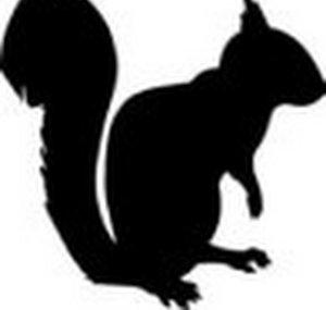 SecretSquirrelBricks