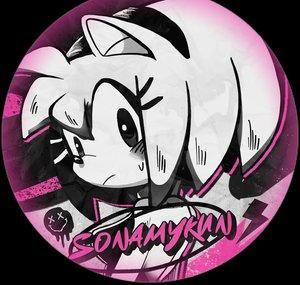 SonAmyKun
