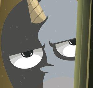 SulkyNarwhal