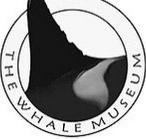 TheWhaleMuseum