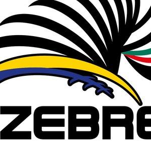 TONY LE ZEBRE