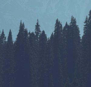 Chill Mix