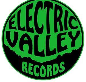 Electric Valley Records