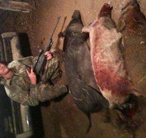 hogchaser85