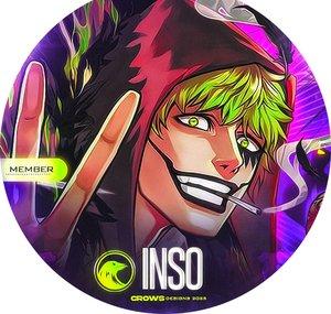 Insofistikerad