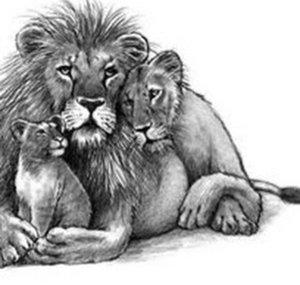 nello lion76ify