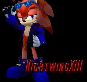 Nightwing2199