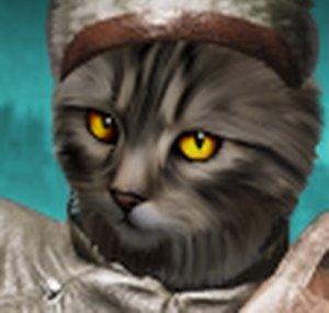 PVP Cat
