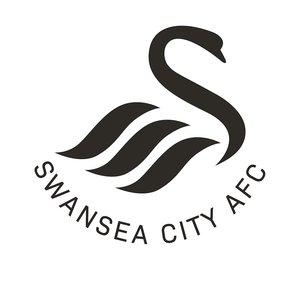 Swansea City AFC
