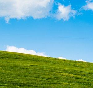 WindowsXP Fan