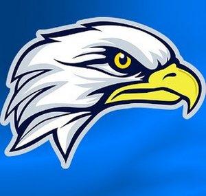 Bald Eagle Productions
