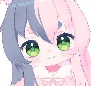 Bonus Lopi