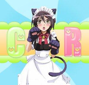 colorfulrevolutionx3