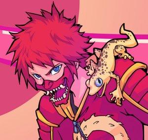 Gekko