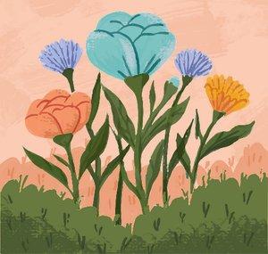 Hannah Fenwick