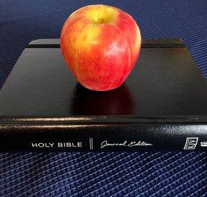 Health and Bible Time