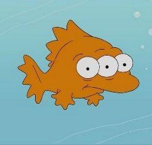 Jake Surf