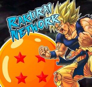 Rakurai Network (稲妻のゲーム)