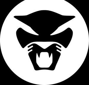 Thundercat